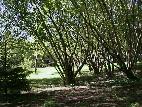 parc de 1 ha clos